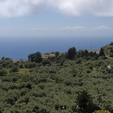 Summer House アパート