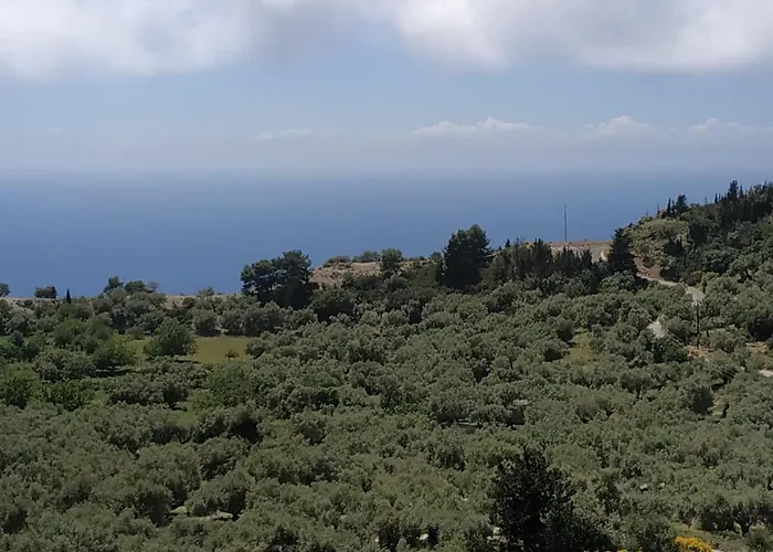 Summer House Apartment